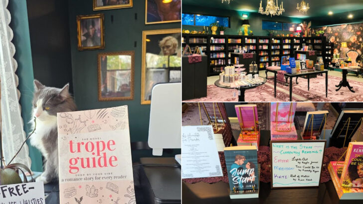 Romance Readers Across Georgia Are Falling In Love With This Specialty Bookstore