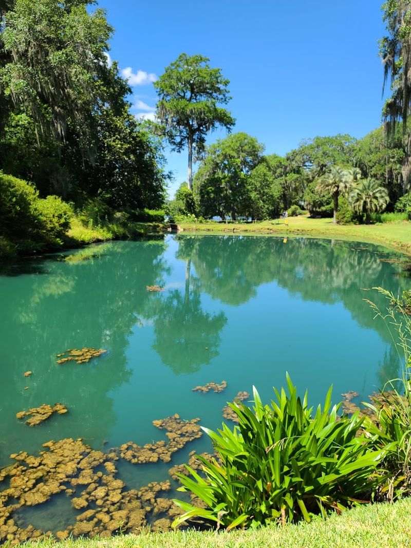 Charles H. Towne Heritage Preserve