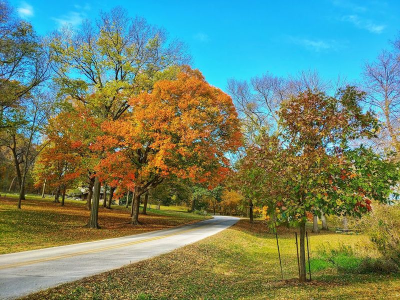 Year-Round Photography Paradise