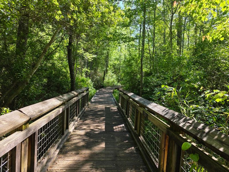 A First Look At The Park's Peaceful Setting