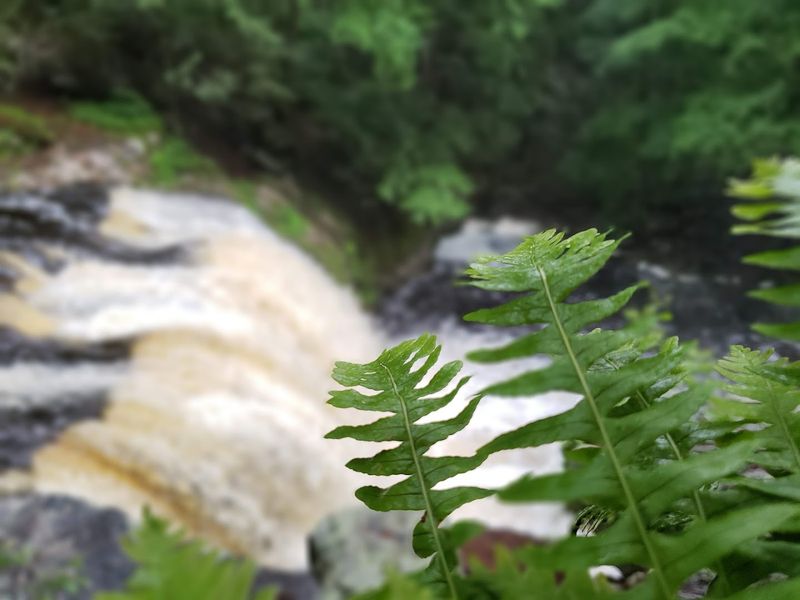 Why It Is Worth The Trip