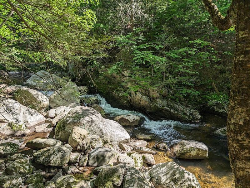 Why Granville Gorge Is Worth The Trip