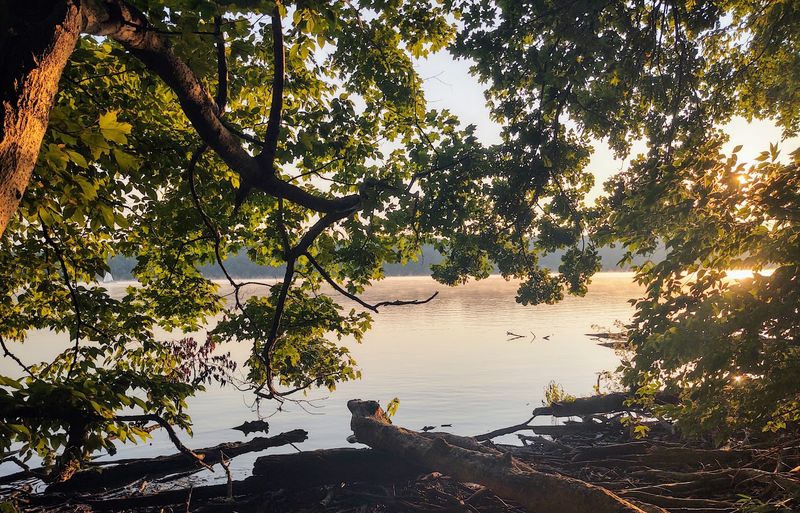 Hueston Woods State Park - Oxford, Preble County