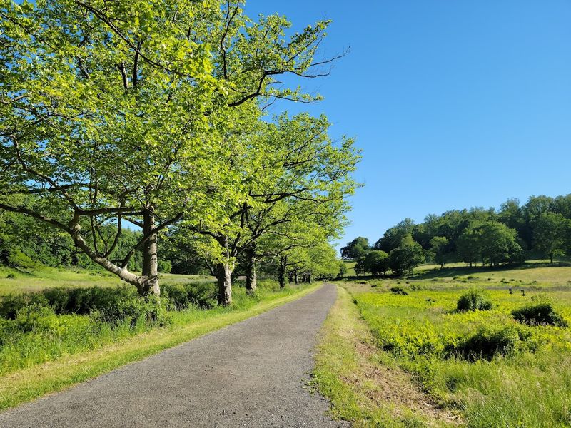 Rockefeller State Park Preserve - Pleasantville, Westchester County