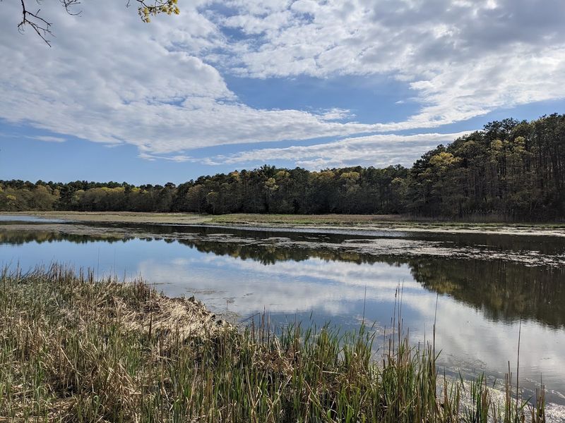 Mashpee River Reservation - Mashpee, Barnstable County