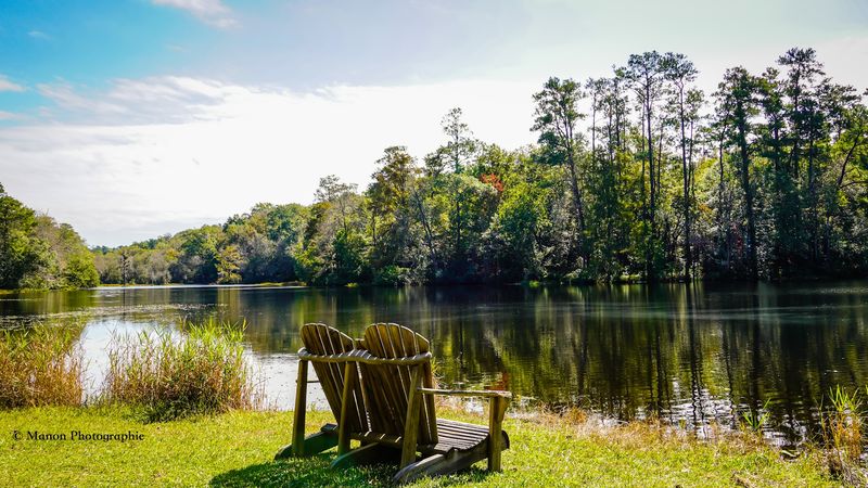 Poinsett State Park - Wedgefield, Sumter County