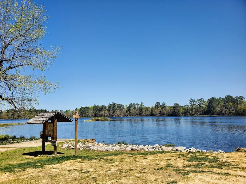Little Pee Dee State Park - Dillon, Dillon County