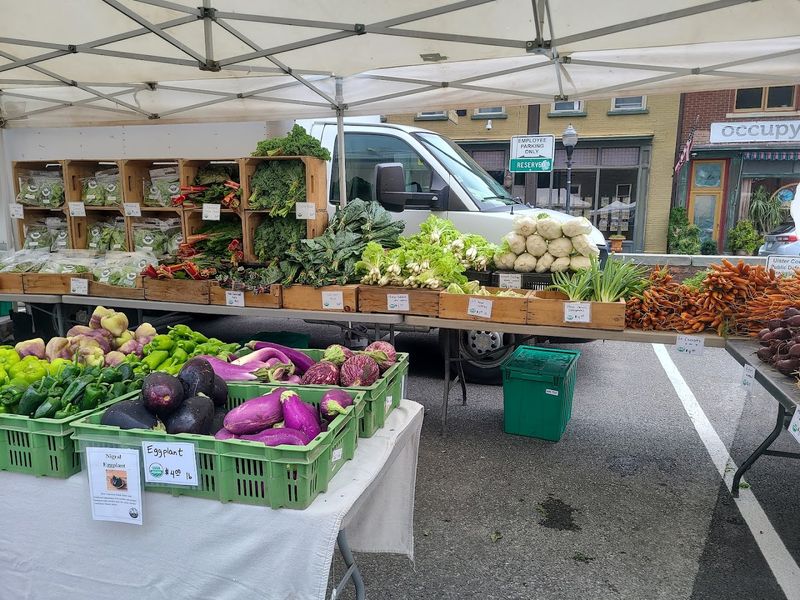 Kingston Farmers Market - Kingston
