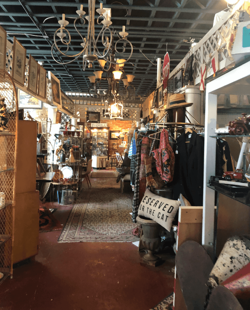 Antique & Boutique Treasure Hunting