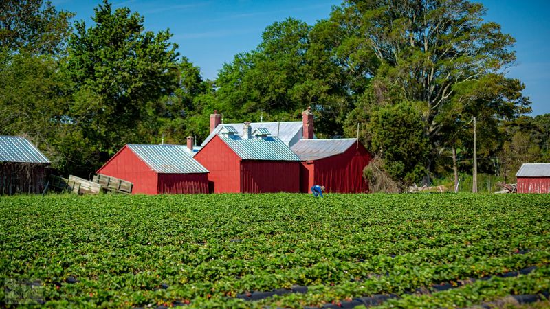 Henley Farm, Virginia Beach, Virginia Beach County