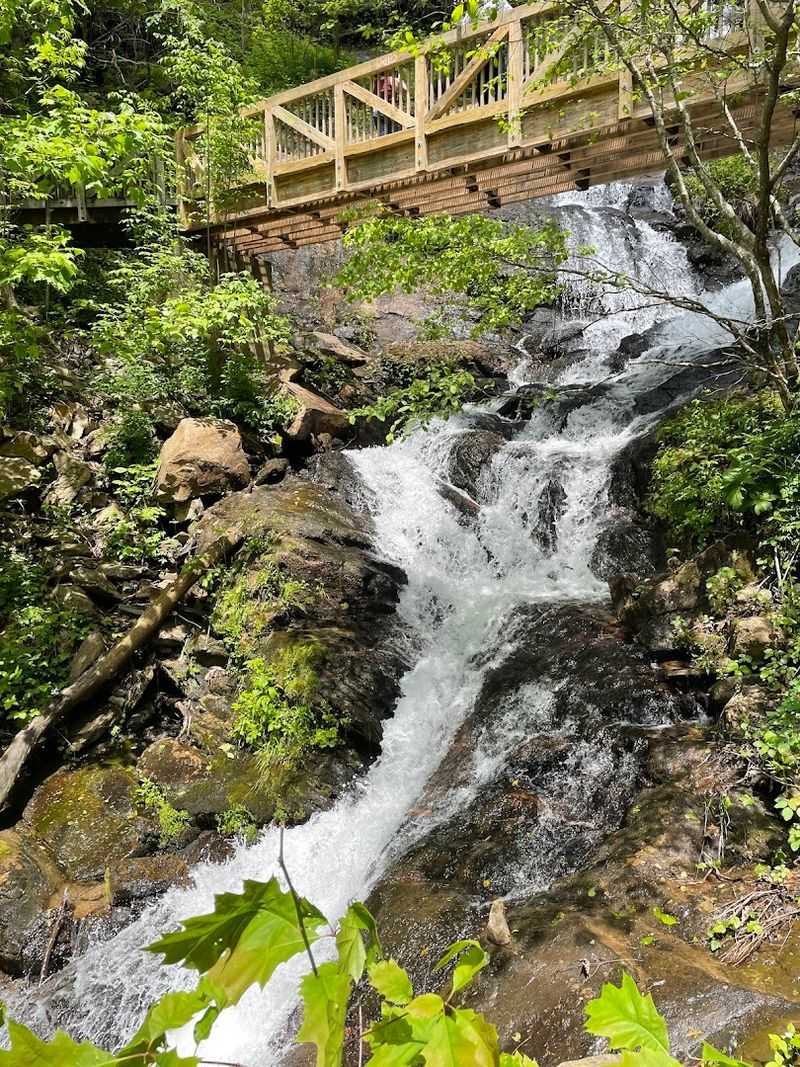 Amicalola Falls State Park - Dawsonville, Dawson County