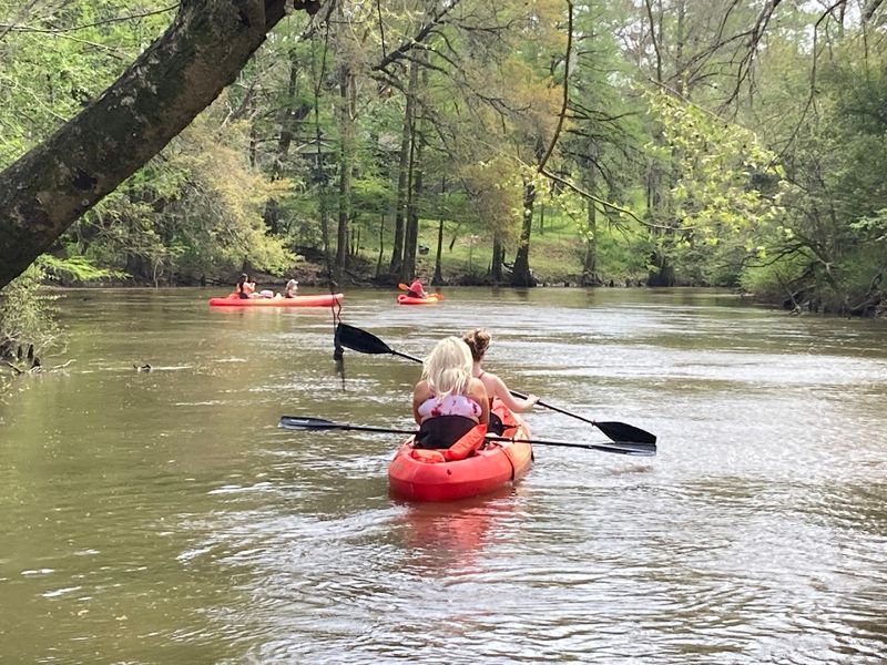 Flint River