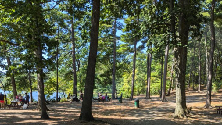 Scenic Lakes, Walking Paths, And Easy Access Make This Massachusetts Park Perfect For A Summer Escape