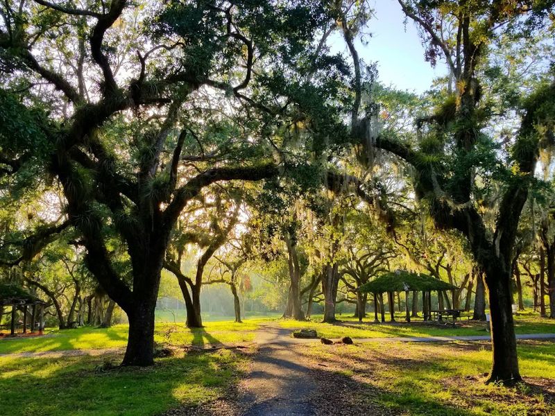 Explore the Nature Trails and Coastal Hammock