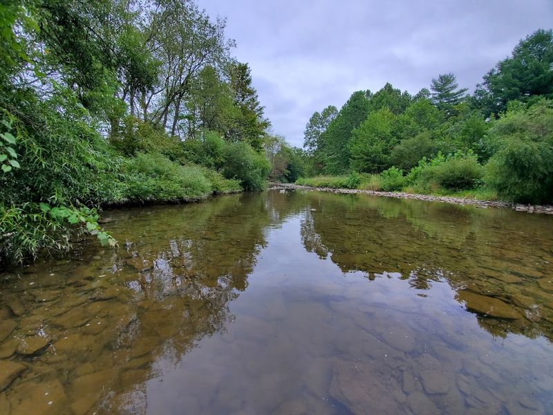 Bald Eagle Creek