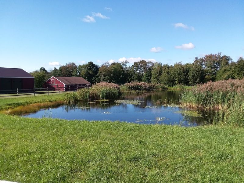Beardsley's Cider Mill - Shelton, Fairfield County