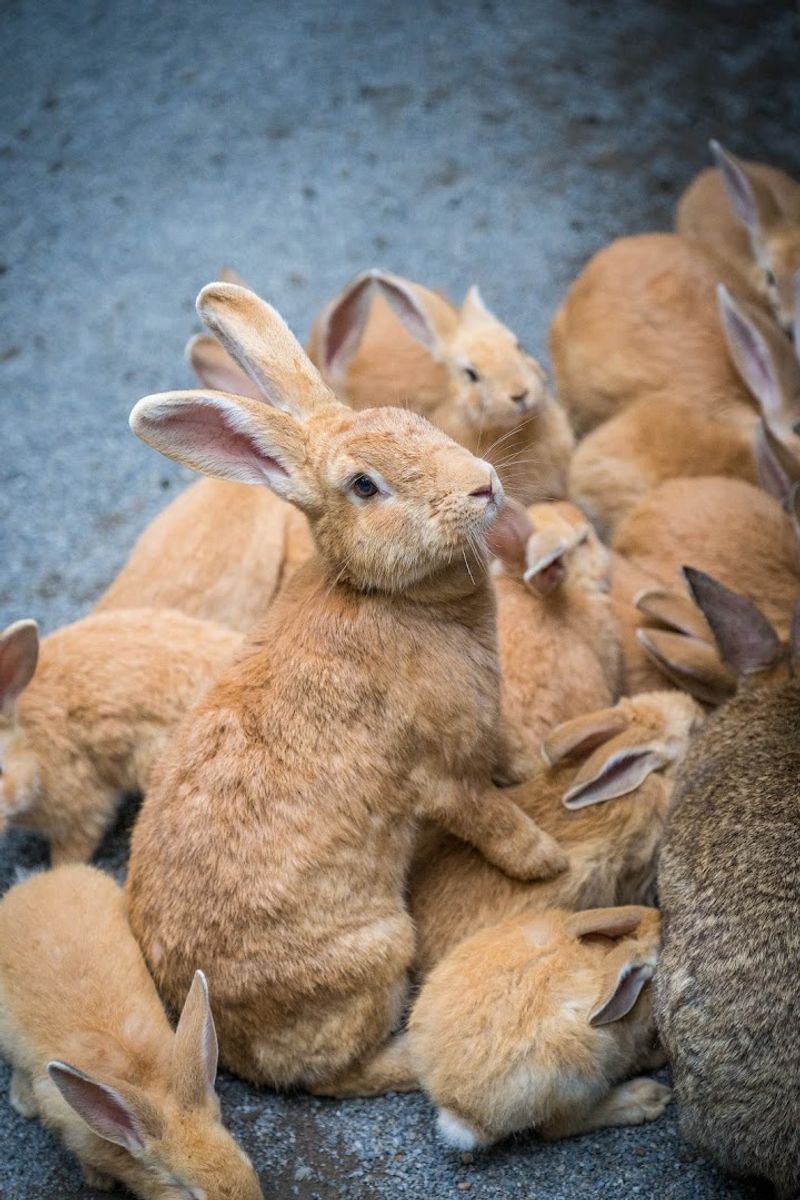 Make Time for the Petting Zoo and Hands-On Family Fun