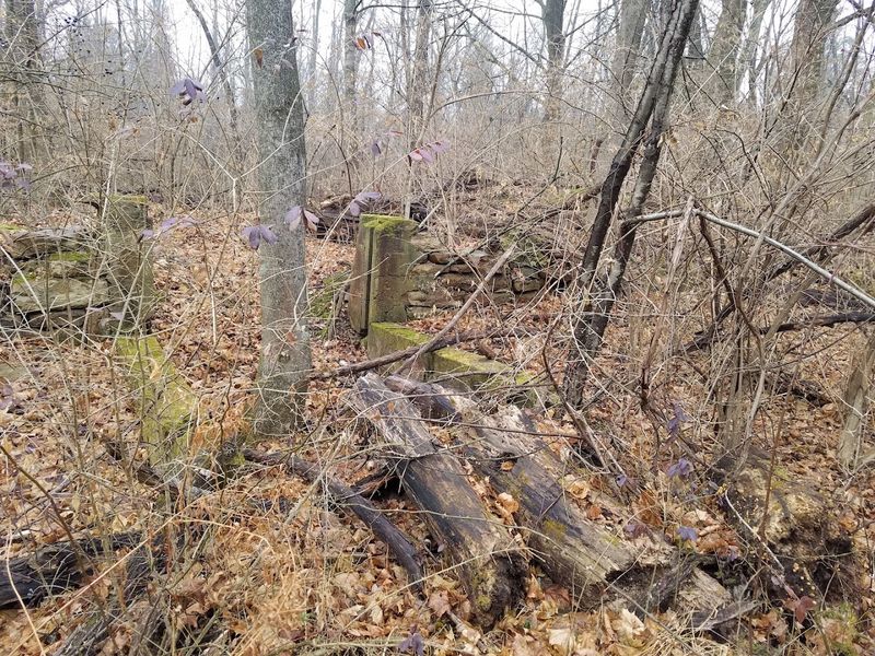 Search for the Forgotten Foundations of Alvira