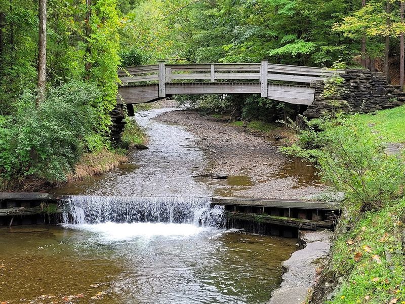 Stony Brook State Park - Dansville, Steuben County