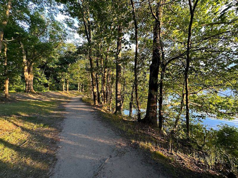 Paved Pathways Perfect For Morning Runs And Evening Strolls