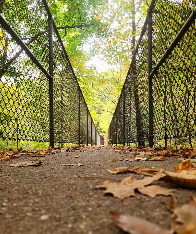Roaring Brook Nature Center - Canton, Hartford County