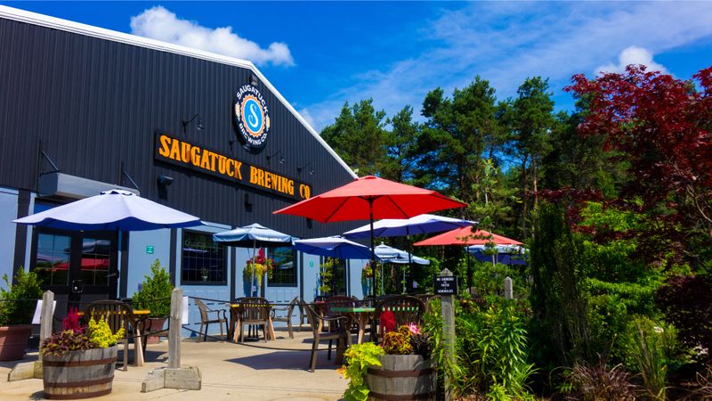 Saugatuck Brewing Company - Saugatuck, Allegan County