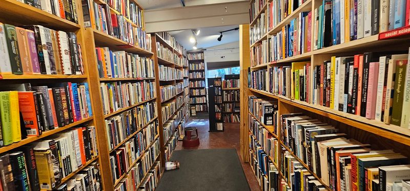 The Hidden Used Books Sanctuary in Back