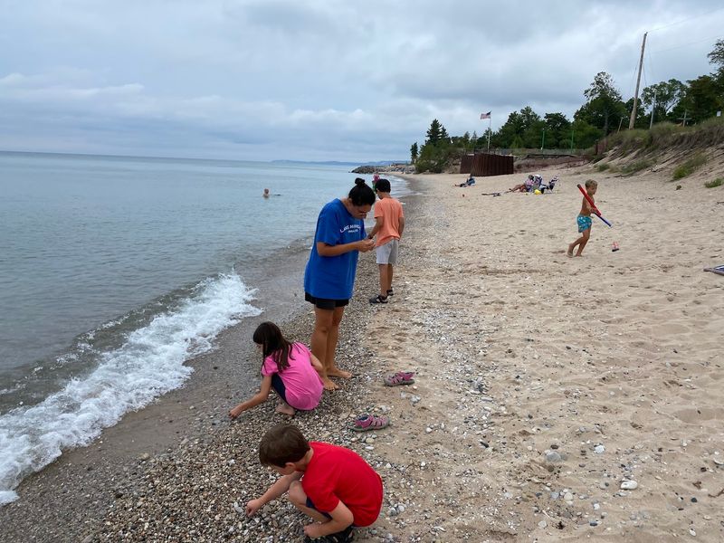 Arcadia Dunes - C.S. Mott Preserve