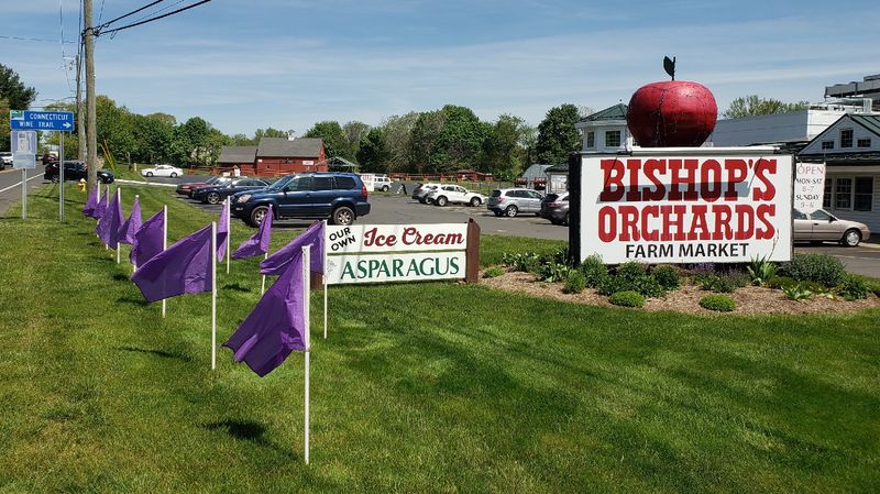 Bishop's Orchards - Guilford, New Haven County