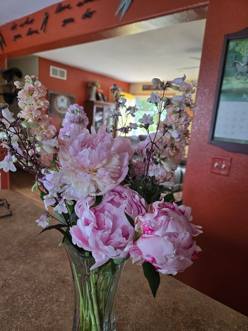 Cedar Falls Farmers Market (Cedar Falls)