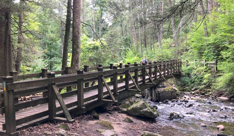 The Miller Trail Makes A Great Introduction To The Park