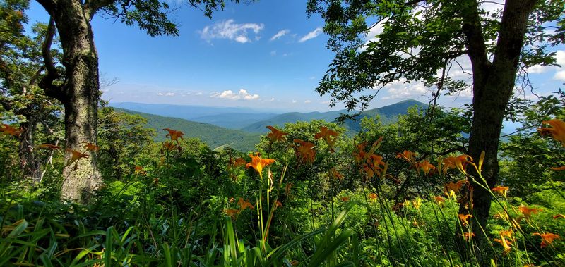 Peaks of Otter - Bedford, Bedford County