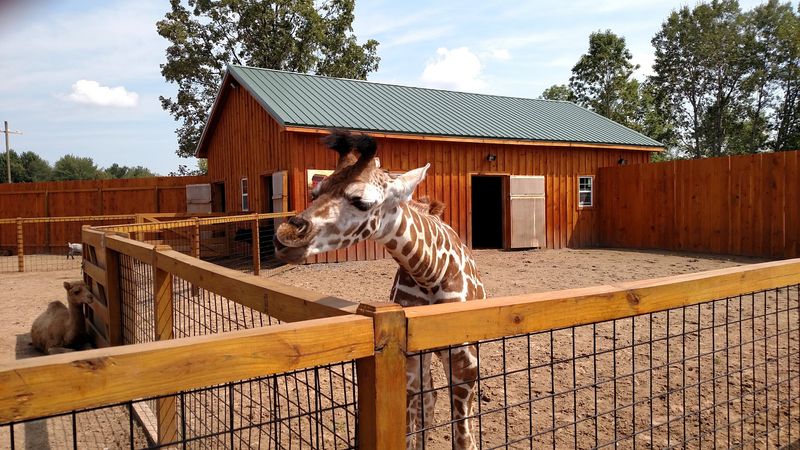 The Wild Animal Park - Chittenango