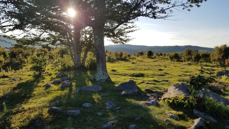 Appalachian Trail - Damascus, Washington County