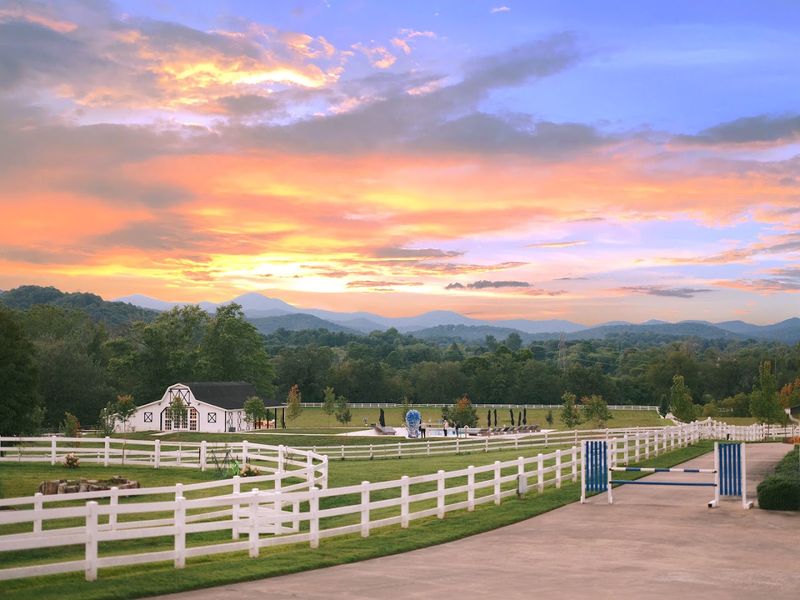 The Horse Shoe Farm - Hendersonville