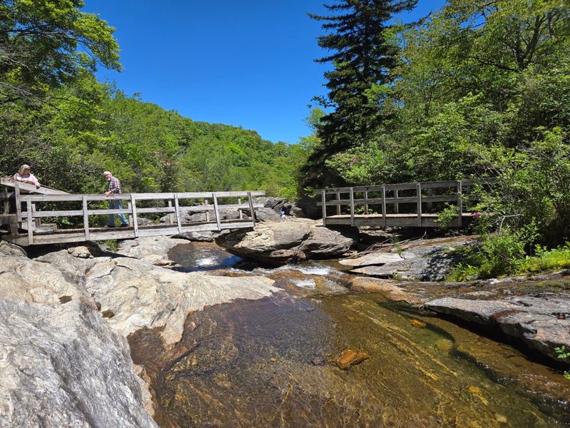 Graveyard Fields - Canton, Haywood County