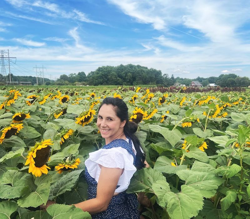 Ward's Berry Farm - Sharon, Norfolk County