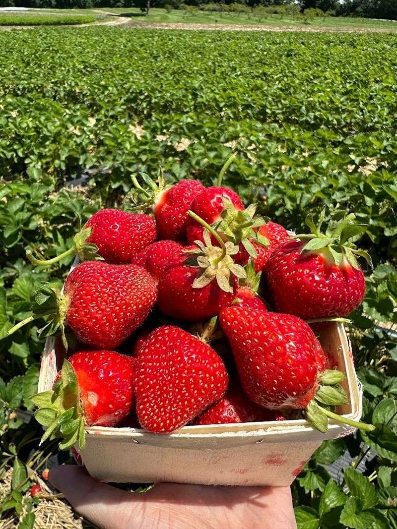 Langwater Farm - North Easton, Bristol County