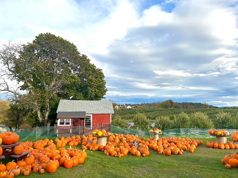 Weed Orchards, Marlboro, Ulster County
