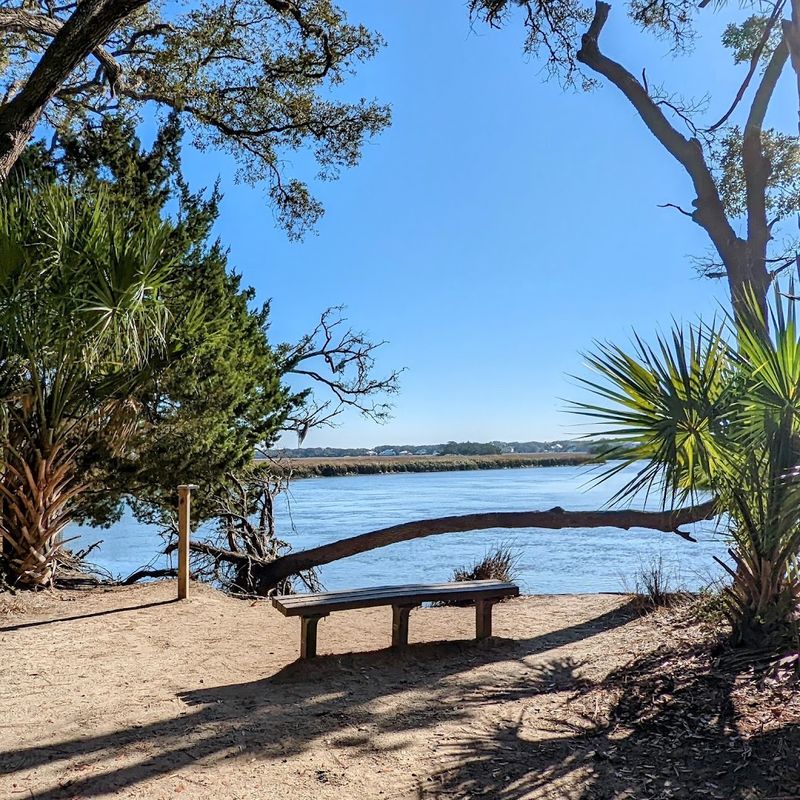 Edisto Beach State Park - Edisto Island, Colleton County