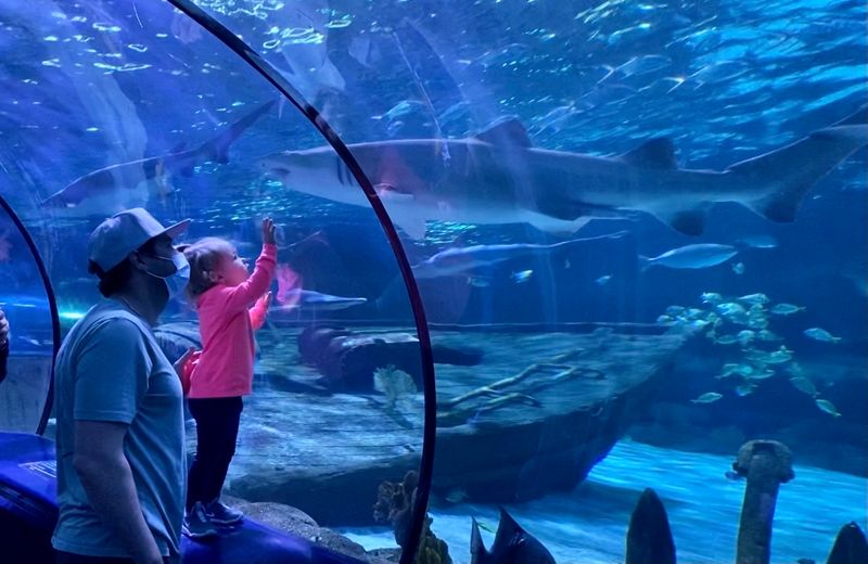 Ripley's Aquarium of Myrtle Beach