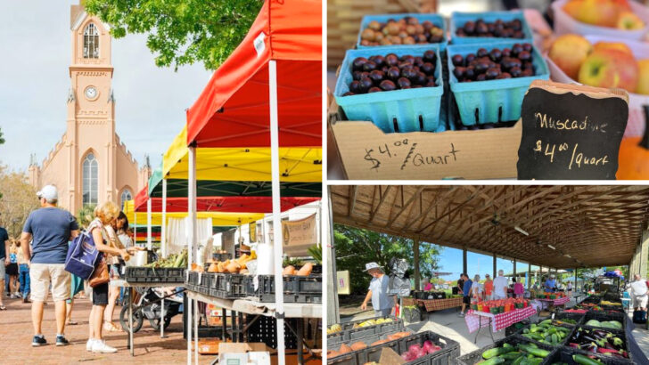 South Carolina Has 13 Farmers Markets Worth Planning Your Weekend Around