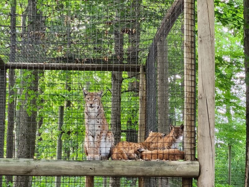 Conservation and Rare Species Take Center Stage