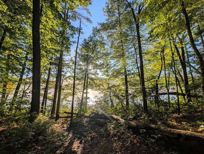 Explore Miles Of Quiet Woodland Trails
