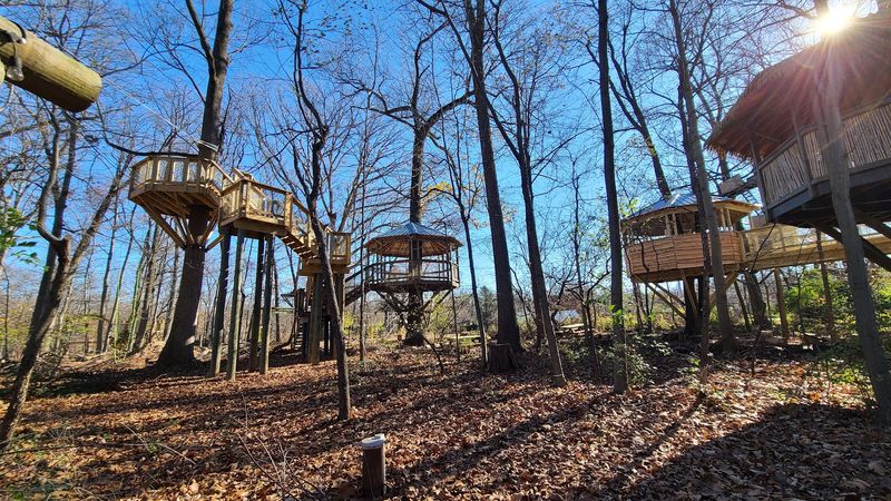 Play Like a Kid Again at Treehouse World