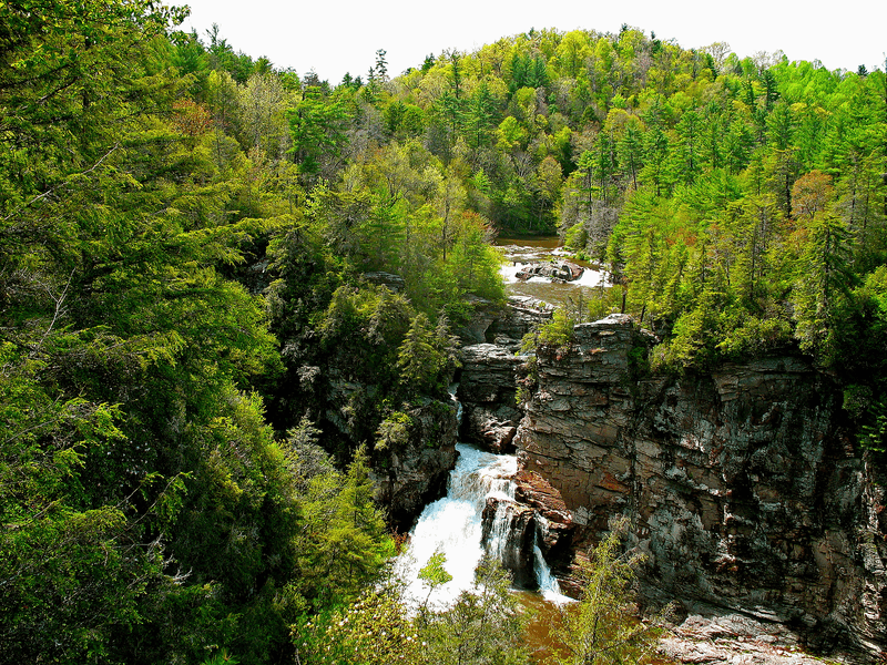 Matthews Creek Falls Trail - Cleveland, Greenville County