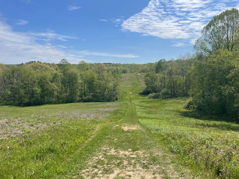 Learn the Fascinating History of Virginia Kendall Park