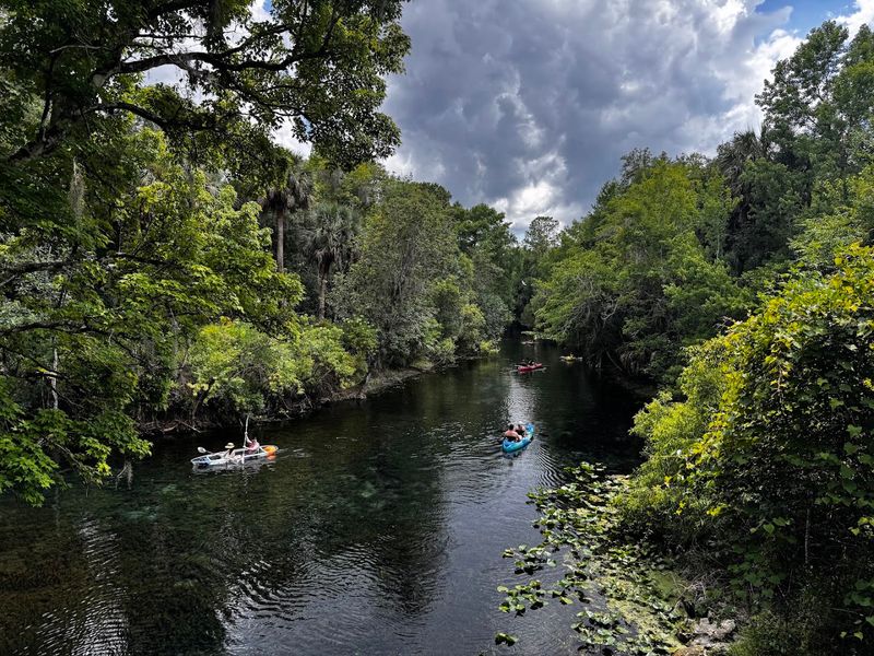 Silver Springs State Park