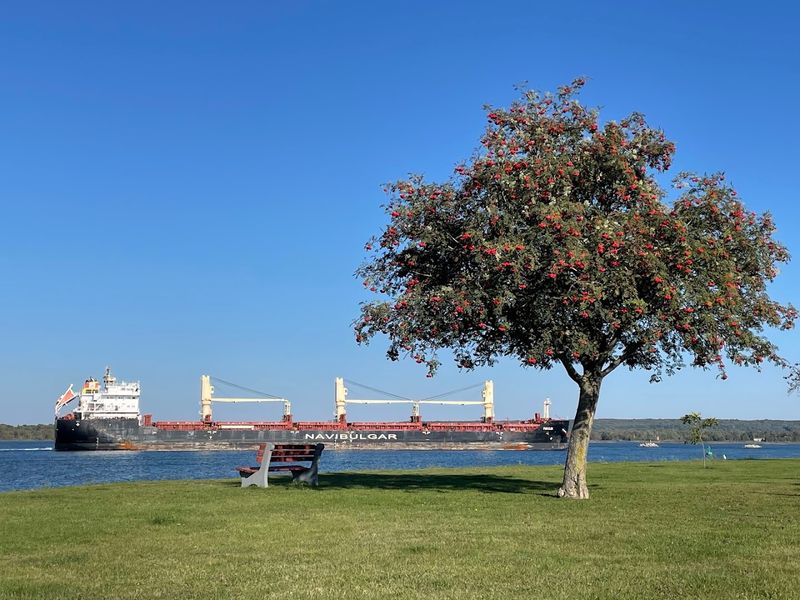 Friday Night Live at the Soo Locks - Aune-Osborn Campground, Sault Ste. Marie (St. Marys River)