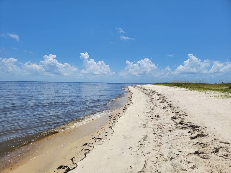 Bald Point State Park